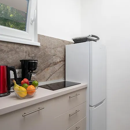 With Private Pool, Summer Kitchen Šišan